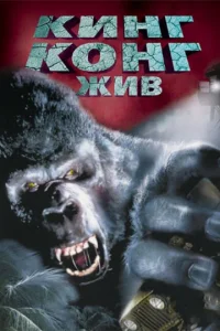 Kukvjr K0kvjr dzhu1010